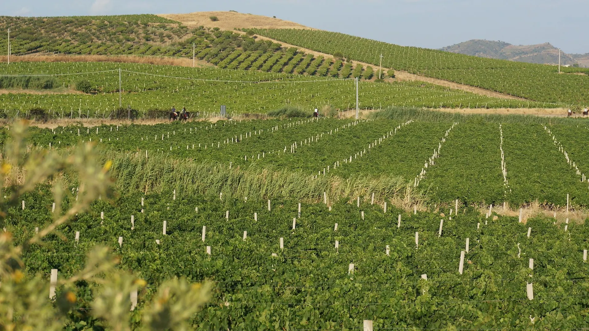 Agriturismo Baglio Pocoroba كاستيلاّماري ديل غو